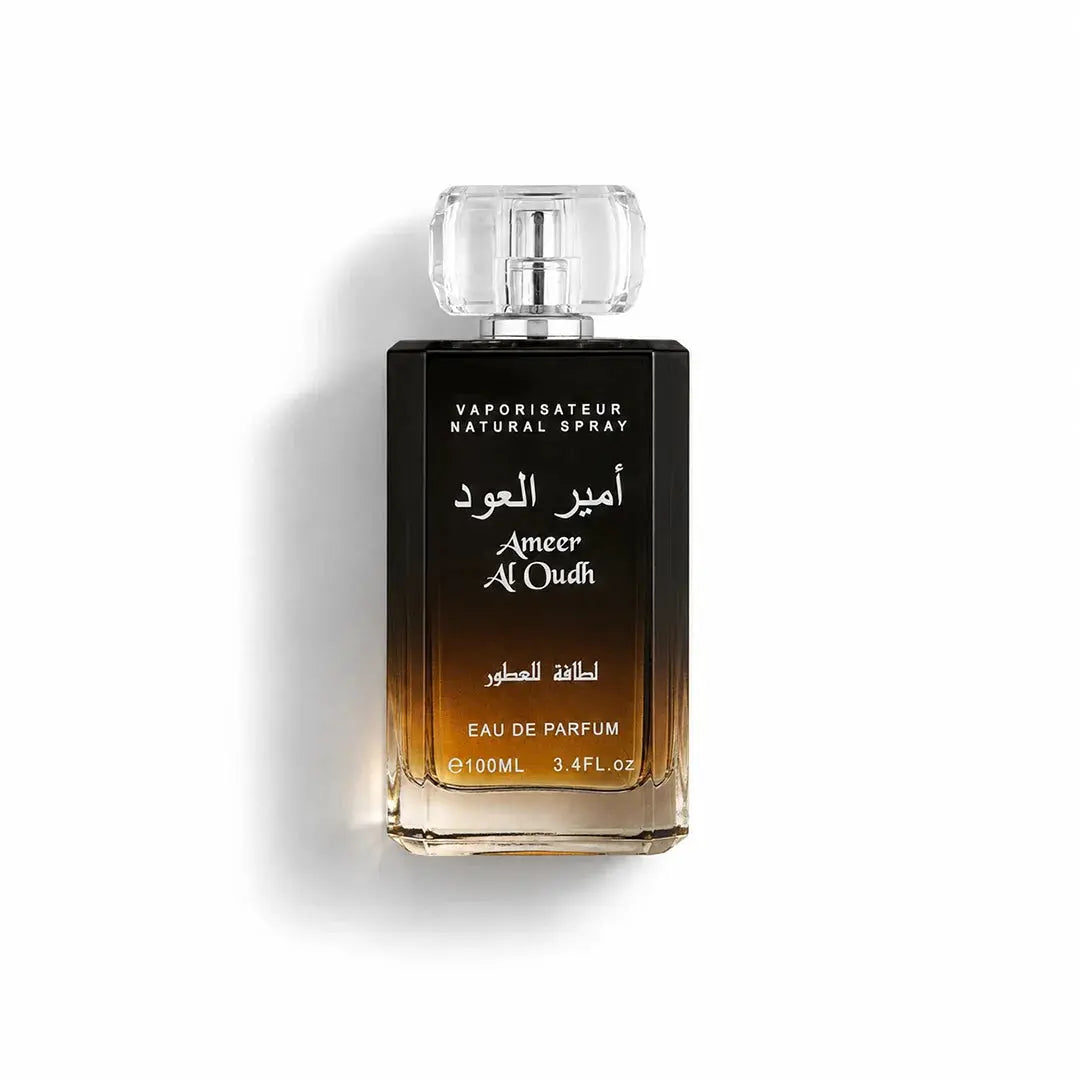 Ameer Al Oudh 